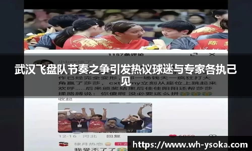 武汉飞盘队节奏之争引发热议球迷与专家各执己见