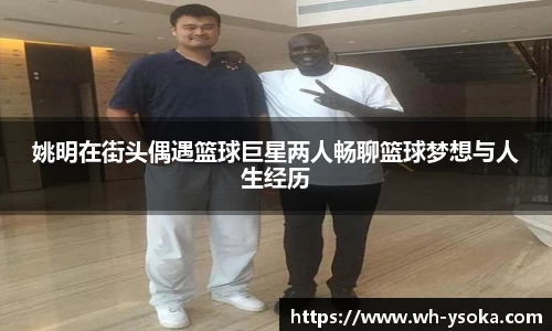 姚明在街头偶遇篮球巨星两人畅聊篮球梦想与人生经历