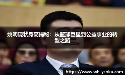 姚明现状身高揭秘：从篮球巨星到公益事业的转型之路